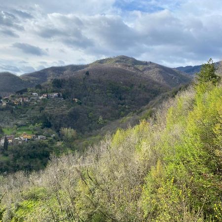 Casa Vacanze Giuliana Villore Eksteriør billede